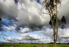 2018年换个造型好恋爱的生肖女