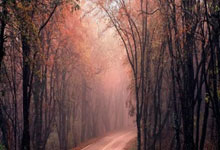 指甲测命：手指没有月牙代表着什么？