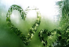 十二生肖女出门前化妆需要多久