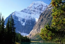 十二生肖一个人住会有什么想法