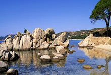 家境如何 这几个生肖只看你长相如何